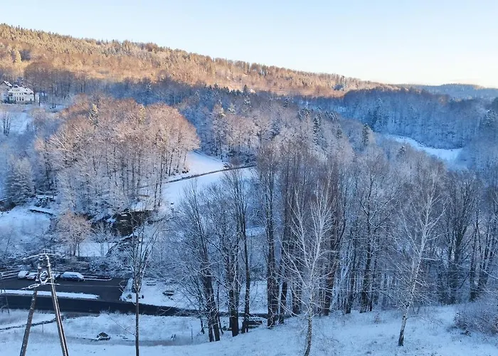 Guest house Orla Skala